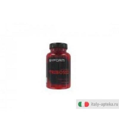 tribosid complemento alimentare a base di estratti secchi di piante: tribulus, suma, maca e