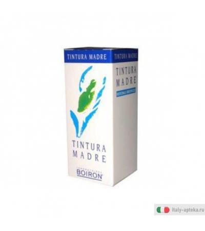 valeriana off 60 millilitri tm