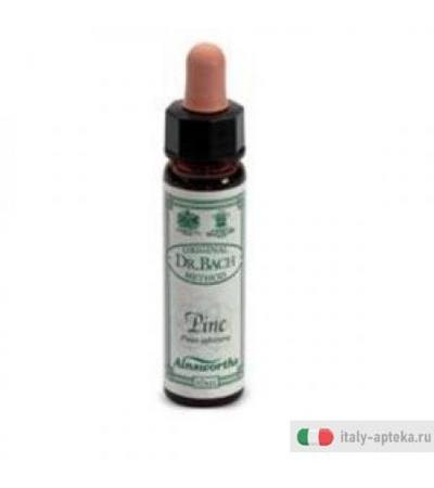Ainsworths Pine 10ml