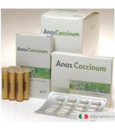Anascoccinum H17 20cps