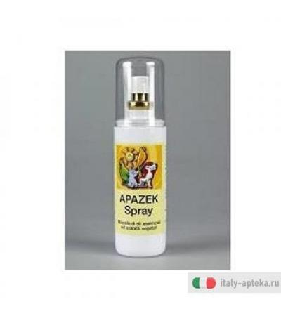 Apazek Spr Fl 100ml
