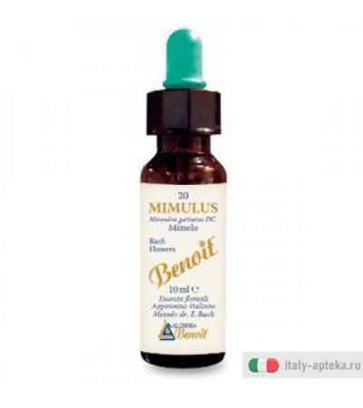 Benoit Fiori di Bach Mimulus