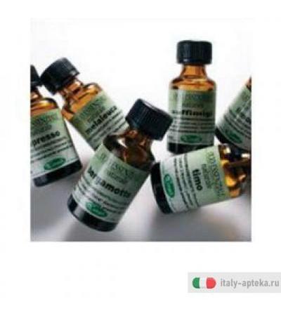 Cajeput Olio Ess 15ml