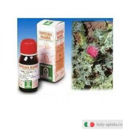 Cardo Mariano 6 50ml Tm