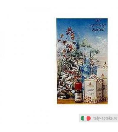 Carota Olio Cosmetico 100ml