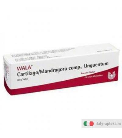 Cartilago Mandragora Ung 30g W