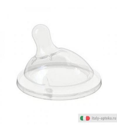 Ch Tett Stepup New 0+ F Norm