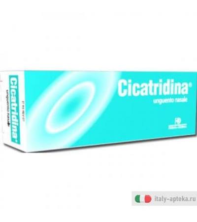 Cicatridina Unguento Nas 15g