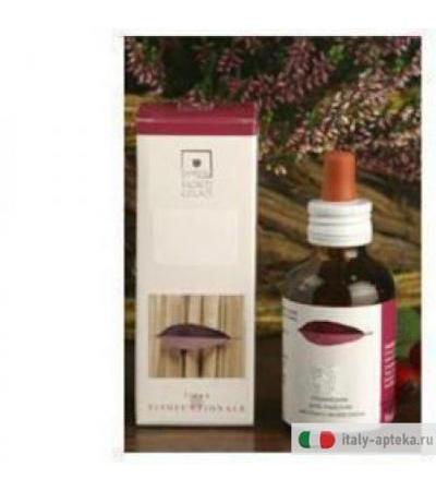 Cornus Sanguinea Mg 50ml Stv