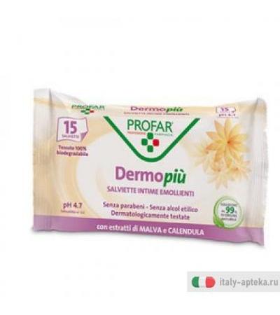 Dermo Piu Salviette Igiene Int