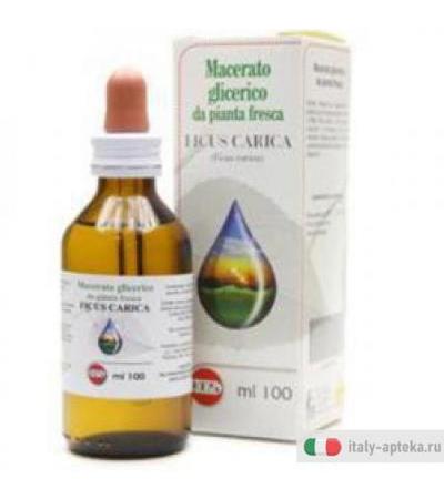 Ficus Carica Mg 100ml Gtt