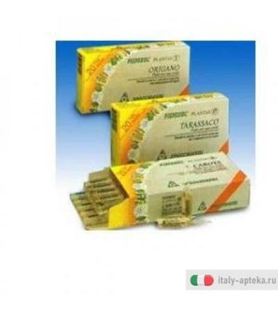 Fisiosol Pl Mirtillo 20f