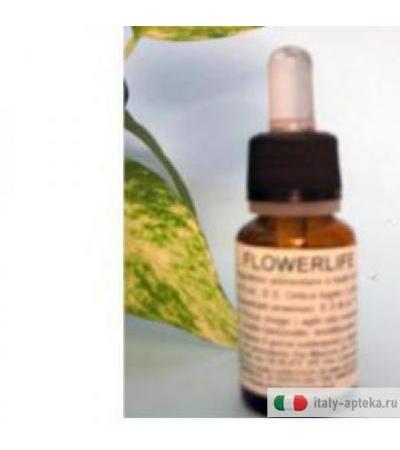 Flower Life 15ml