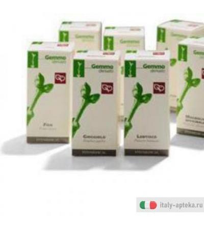 Frassino Semi 100ml Mg