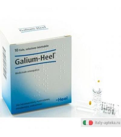 Galium 10f 1,1ml Heel