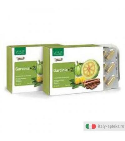 Garcinia +2 90cps