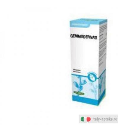Gemmoderivato Castagno 50ml