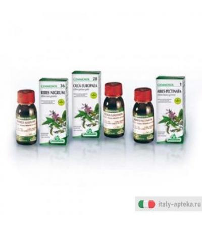 Gemmosol 24 Fico 50ml