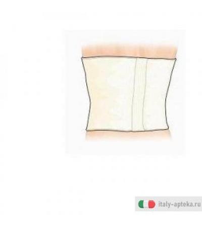 Gibaud Cint Norm 27cm a