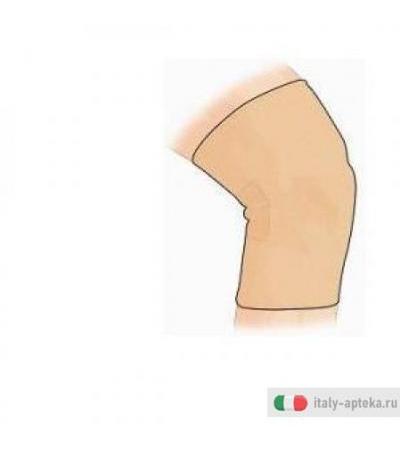 Gibaud Ginocch Sport Camel 4