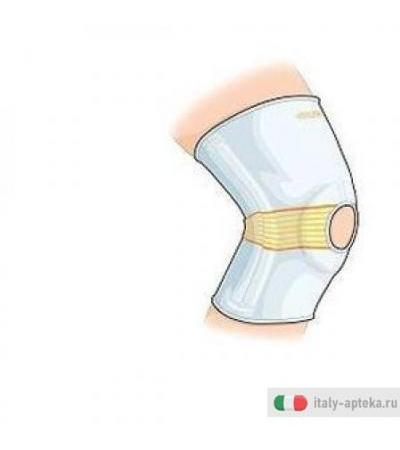 Gibaudortho Ginocch Legam 4