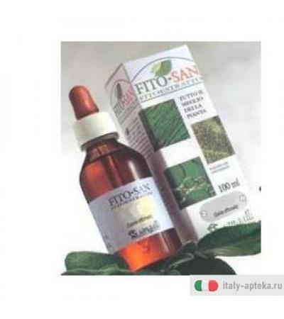 Ginkg Biloba Fgl 100ml Tm