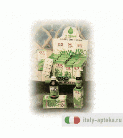 Ginkgo Biloba 100cps 380mg