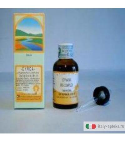 Ginseng Sol Ial 50ml