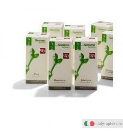 Giuggiolo 50ml Mg