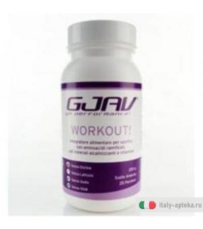 Gjav Workout Arancia 200g