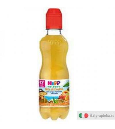 Hipp Frutta Splash Mix 300ml
