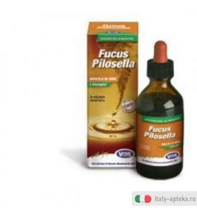 I Sinergici Fucus/pilosella100