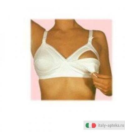 Joliemaman Reggis all B Bi 5