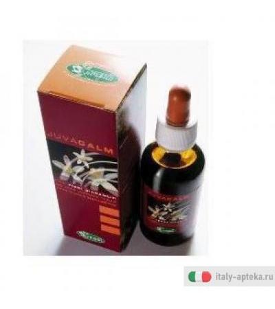 Juvacalm 100ml C/contagtt