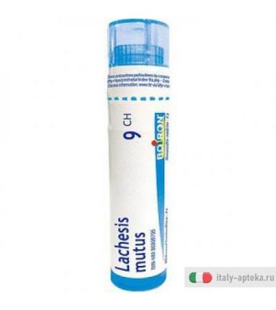 Lachesis Mutus 9ch Gl