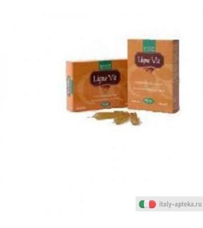 Ligne Vit 20ab 10ml