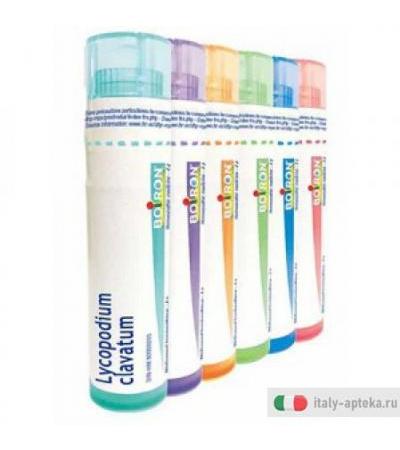 Lycopodium Clav 4ch Gr