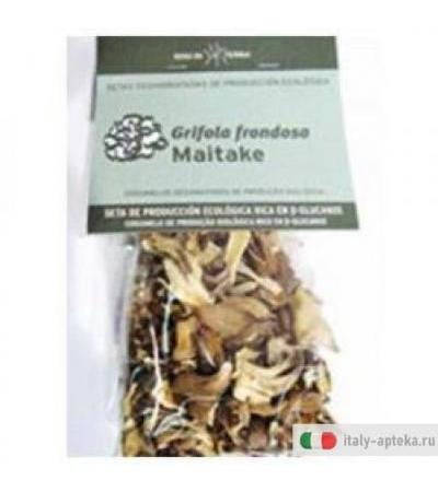 Maitake Alime 1000g Freeland