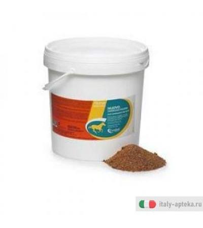 Nuovo Complesso Puledri 4kg