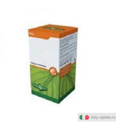Olio Fegato Merl 100prl 453mg