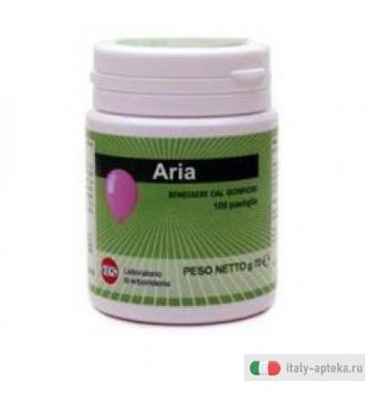 Pastiglie Aria 100past