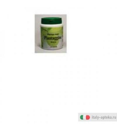Piantaggine 60cps