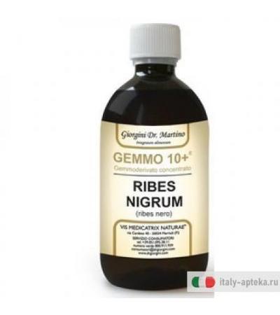Ribes Ne Analc Gemm 10+ 500ml