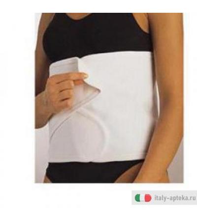 Scudotex Cint Stecca 32cm 6