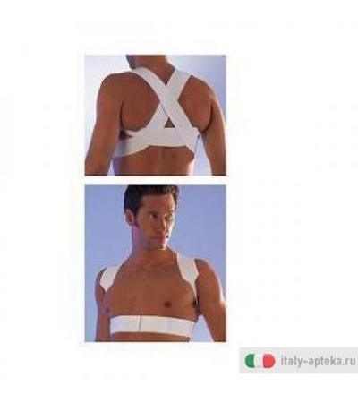 Scudotex Raddrizzasp 3 621