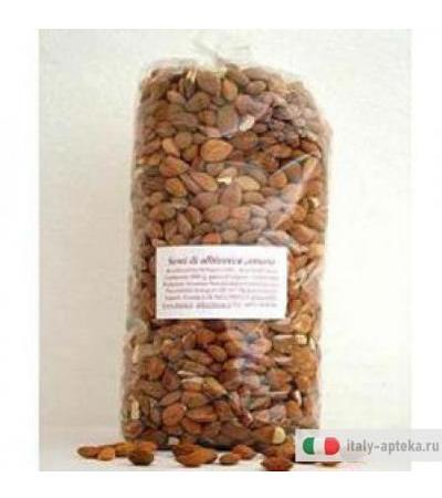 Semi Albicocca 1kg