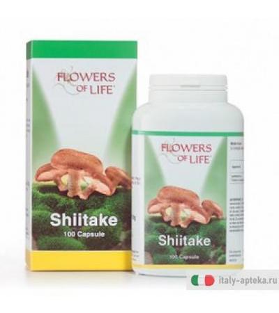 Shiitake 100cps Flowers Of Lif