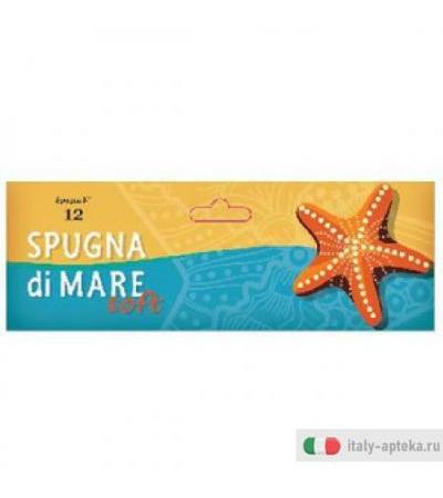 Spugna di Mare Soft l