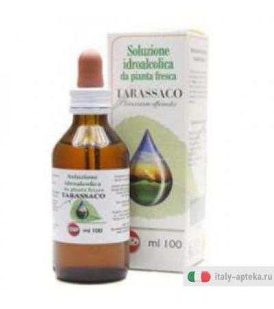 Tarassaco Sol Ial Pianta Fr100
