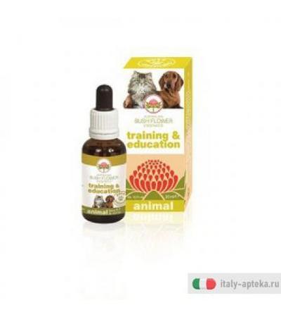 Training & Education 30ml